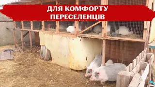 Плетуть сітки та доглядають за кроликами: волонтери закинуте приміщення перетворили на гуртожиток