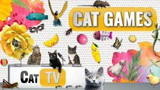 CAT Games | Ultimate Cat TV Compilation Vol 41 | 2 HOURS 🐝🐞🦋🦎🦜🐜🐭🧵