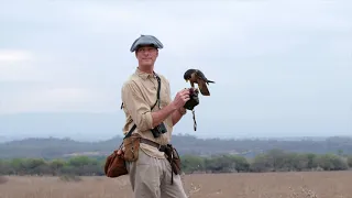 The amazing story of a #peregrine #falcon trailer