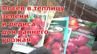 Посев редиса и зелени для раннего урожая в необогреваемую поликарбонатную теплицу.