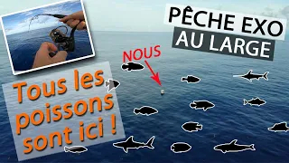 Comment prendre des POISSONS à la chaîne | Journée PECHE EXO sur haut-fond au large de la MARTINIQUE