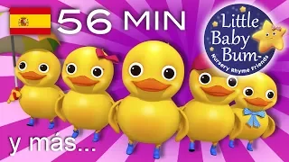 Contar cinco patitos | Y muchas más canciones infantiles | ¡56 min de recopilación LittleBabyBum!