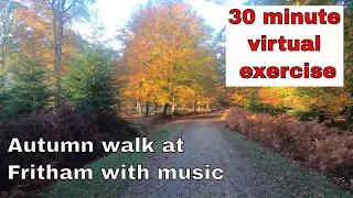 30 minute virtual Autumn walk at Fritham with music #leavenotrace