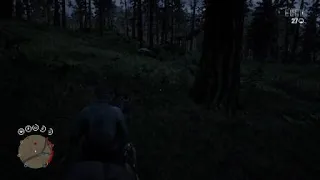 Red Dead Redemption 2 Bear Chase