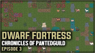 Let's Play Dwarf Fortress STEAM EDITION! The Chronicles of Pantedguild | Ep. 3