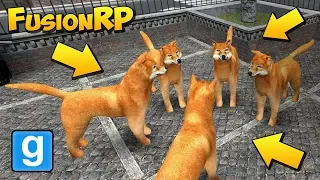 ✅ СОБАЧЬЯ СВАДЬБА в Garry's Mod 🐶 FusenRP 🔨 СКАЧАТЬ ГАРРИС МОД 💾