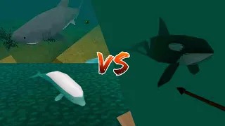 Great White Shark and Beluga Whale Vs. 3 Orcas!! - Survival Craft 2