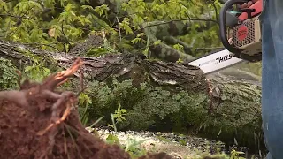 Storm Damage in Blount County