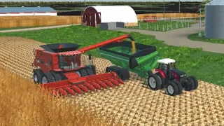 Corn Harvest on the Hog Farm! | American Farming