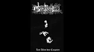 Saatkrähe - Les Ailes des Carpates (2005)