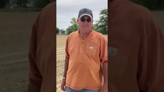 AgXplore's Billy Carter With An Update On Dennis McKay's NCGA  Corn Plot