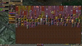 Dungeon Siege 2 - Large Inventory - Advanced Equipment