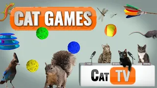 Cat Games | Ultimate Cat TV Compilation Vol 3 | 🐱