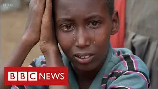 Somalia on brink of catastrophic famine after worst drought in decades - BBC News