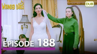 Wounded Birds Episode 188 - Urdu Dubbed | Turkish Drama