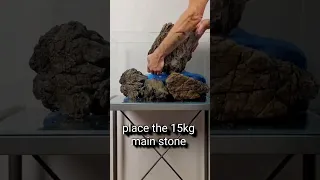 Aquarebell 60cm hardscape sample #shorts