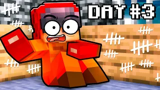I Survived 100 Days in a Minecraft PRISON! *maximum security*