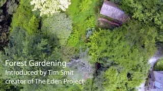 Forest Gardening | Living With The Land | Part 1