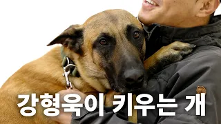 A dog breed that even Kang Hyung-wook is hard to raise | Dog Encyclopedia Malinois Episode