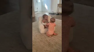 Babies fight over a chair 😂 #shorts