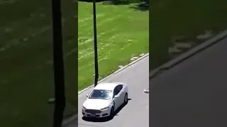 Someone throws rocks at your car - What would you do?