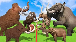 Woolly Mammoth vs Mastodon - Who Would Have Won a Fight? Prehistoric Mammals VS Prehistoric Animals