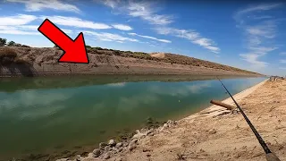 What Fish Are Hiding In This ABANDONED Desert Canal?