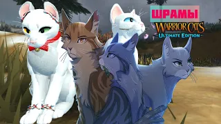 ШРАМЫ БЕСПЛАТНО! Коты воители [ Roblox] Warriors cats ultimate edition 🐈‍⬛👌