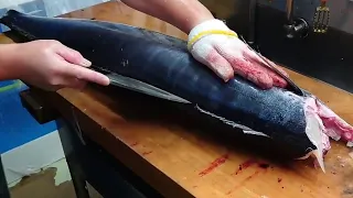 Giant Spanish Mackerel Sashimi Making (Sawara Sushi)  Best Japanese Sushi Skills