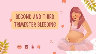 Second and Third Trimester Bleeding