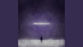 Misunderstood (feat. Indigomerkaba)
