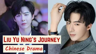 How did Liu Yu Ning Become an Actor & Singer? || Know his Journey