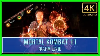 Mortal Kombat 11 | Фарм душ (40к - 30м)