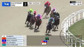 Gulfstream Park Carrera 2 - 14 de Febrero 2024