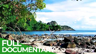 Cocos Island - Mystery of the Pacific Ocean | Free Documentary Nature