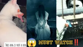 SCARY TikTok Videos ( #172 ) | Don't Watch This At Night ⚠️😱