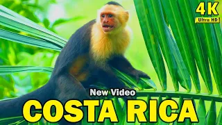 Costa Rica in 4K 60fps HDR Ultra HD video + Nature Sounds