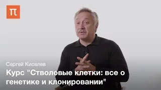 Сергей Киселев - Курс "Стволовые клетки: все о генетике и клонировании"