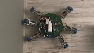 Hexapod Robot