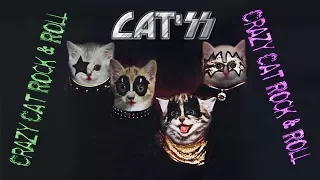 Crazy Cat Rock & Roll - Los Hooligans  - el gato loco (PMV)