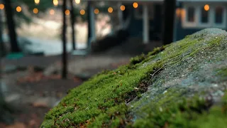 Dunlap Hollow Cottage // Panasonic GH5 Cinematic Tone Piece