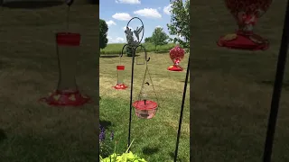 “Hillbilly Splashpad” bubbler for hummingbirds