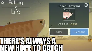 Fishing Life#21 | Arowana's New Hope | Catching Hopeful Arowana