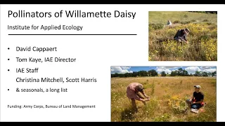 Pollination biology of the Willamette daisy: conservation implications for endangered prairie plant