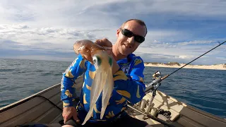 How to Catch Squid,  Tinny Fishing, Catch and Cook