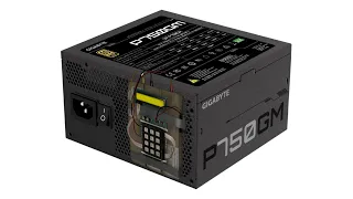 POV you use a Gigabyte GP-P750GM