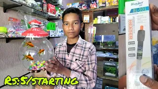 best pet shop Punjab Ludhiana and fishes#viral #trending