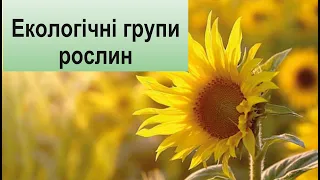 Екологічні групи рослин