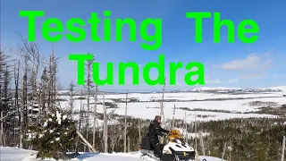 Tundra 600 ACE LT Ski-doo Vs Expedition 900 ACE (For picking in the woods) + Shout-Outs