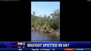 Bigfoot spotted in Virginia? | FOX 5 DC